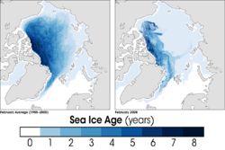 Arctic Sea ice age in February 2008 compared to the average for 1985-2000 (NASA)